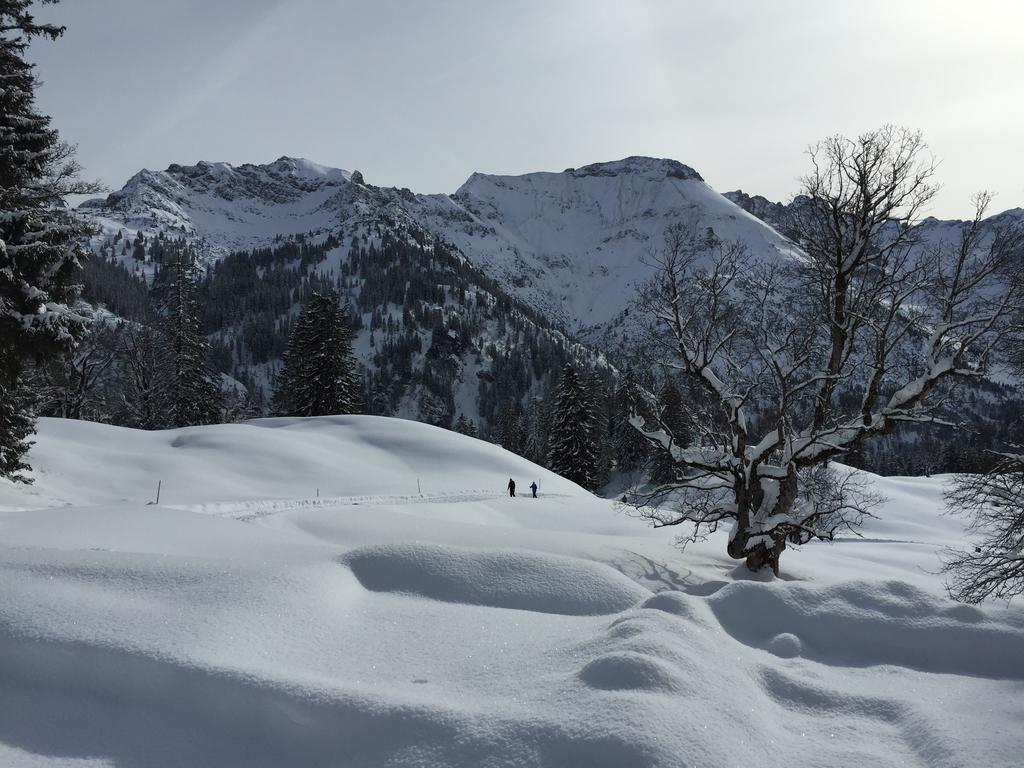Hotel-Gasthof Der Wiesengrund Bad Hindelang Luaran gambar